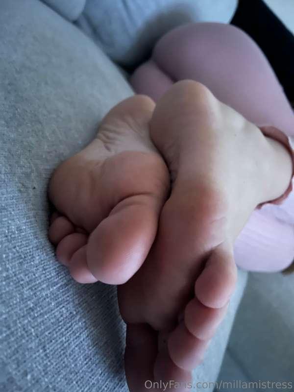 Lick my feet dog