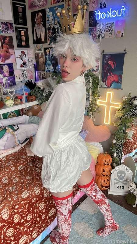 indigowhite image #243