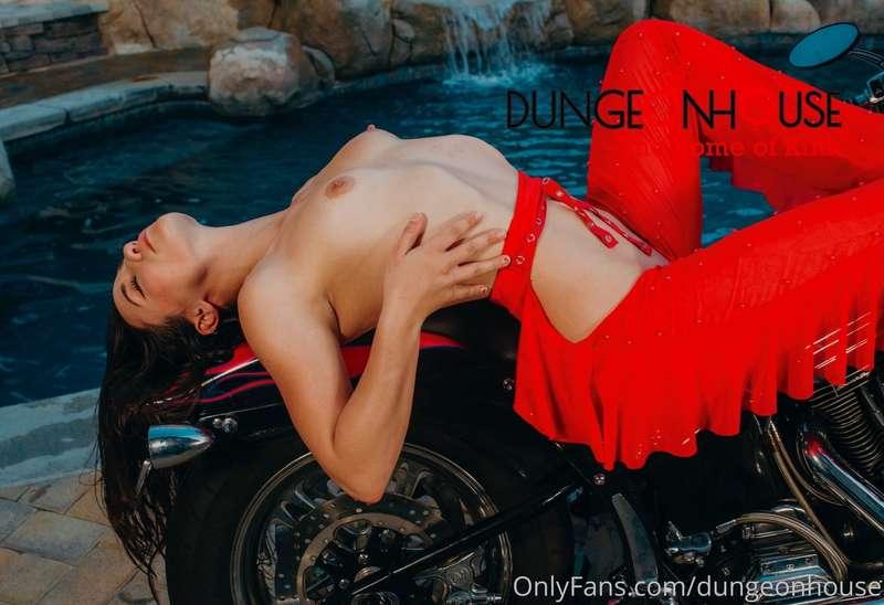 dungeonhouse image #2