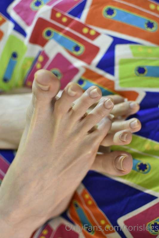 torislegs image #21