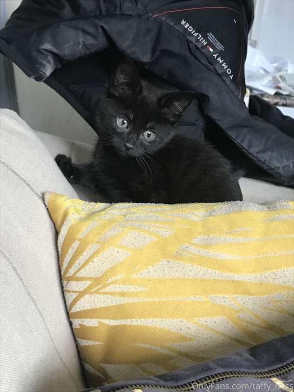 Just got me some pussy!!