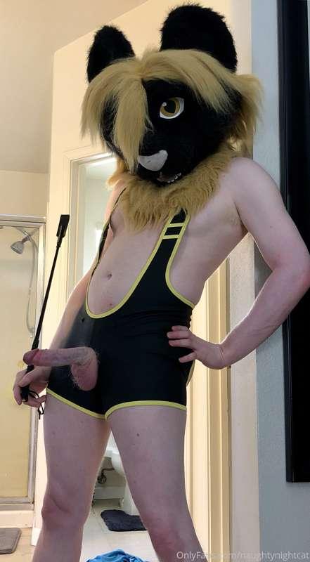 naughtynightcat image #9