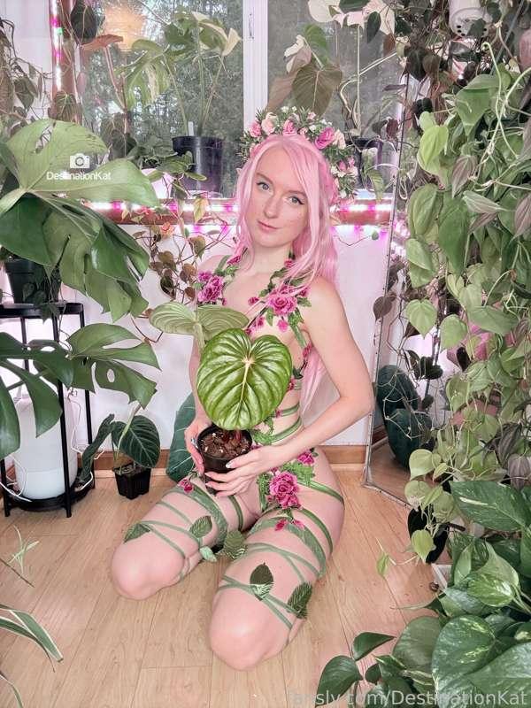 destinationkat image #16