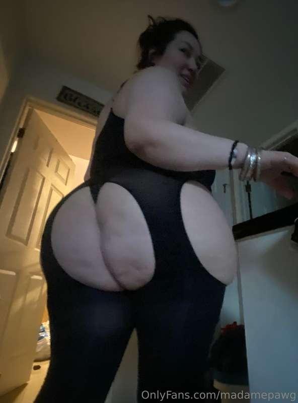 madamepawg image #1