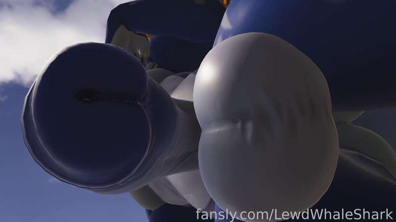 lewdwhaleshark image #3