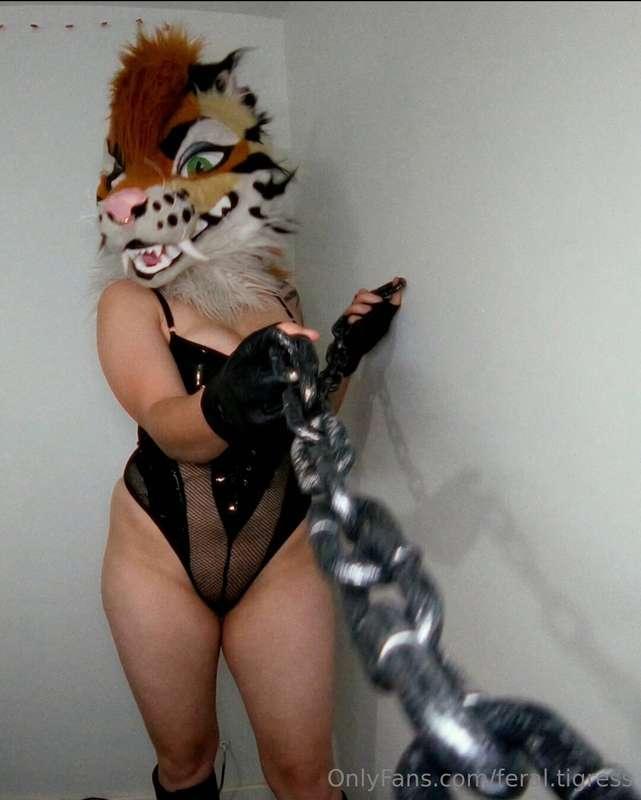feral.tigress image #1