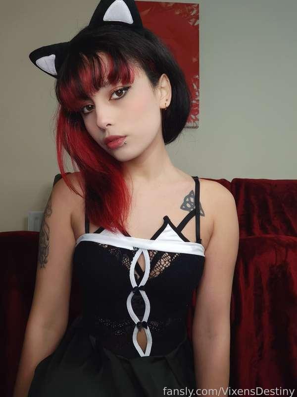 vixensdestiny image #1