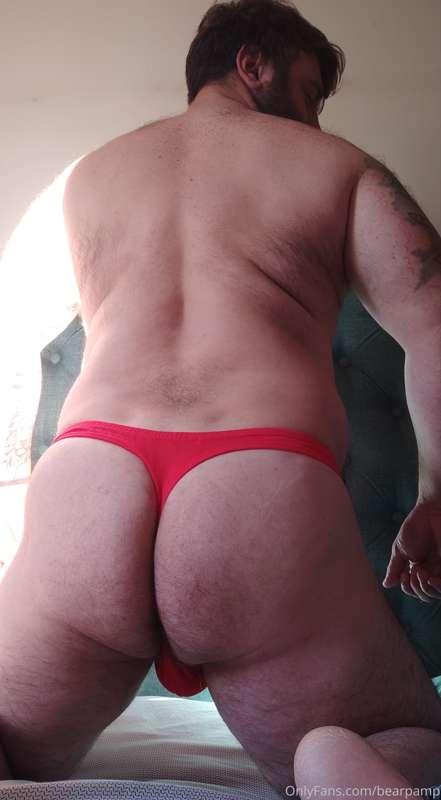 bearpamp image #3