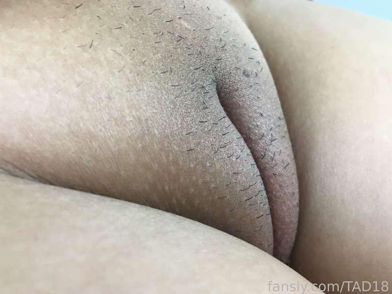 tad18 image #0