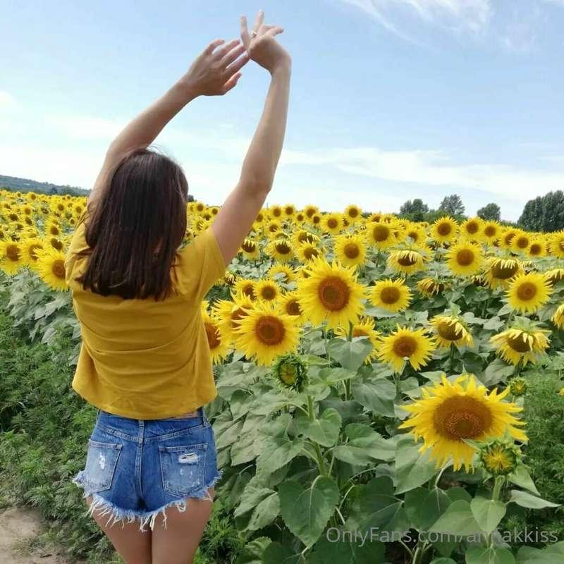 Waking up in the summer, in a sea of sunflowers, under a pea..