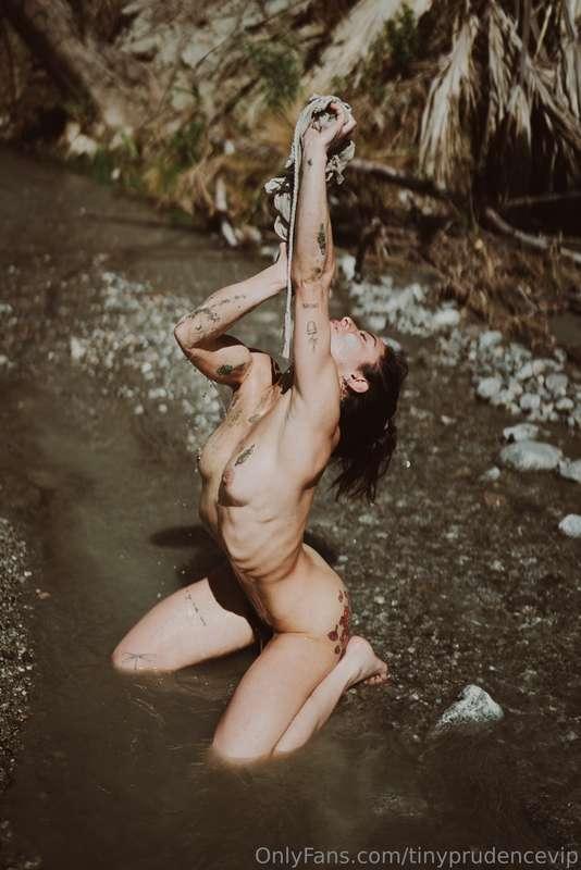 tinyprudencevip image #12