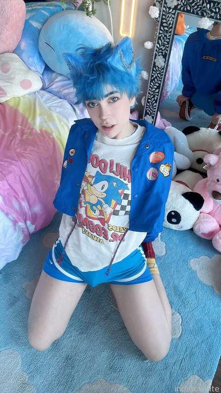 indigowhite image #249