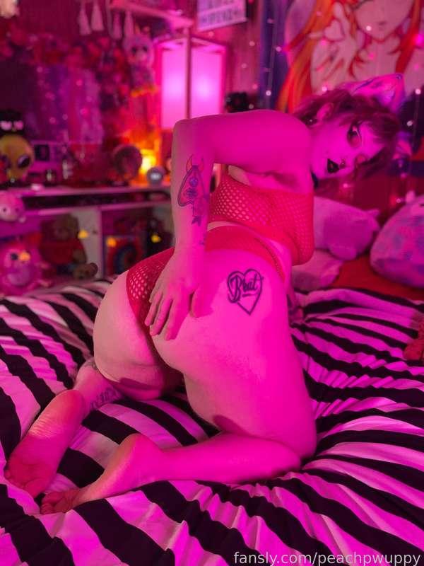 peachpwuppy image #7