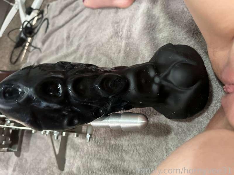 hornyvee31 image #1