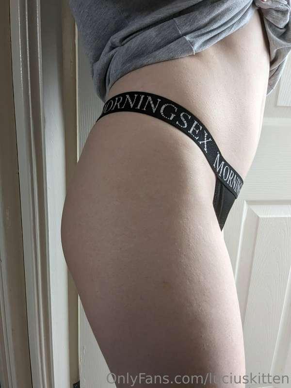 luciuskitten image #3