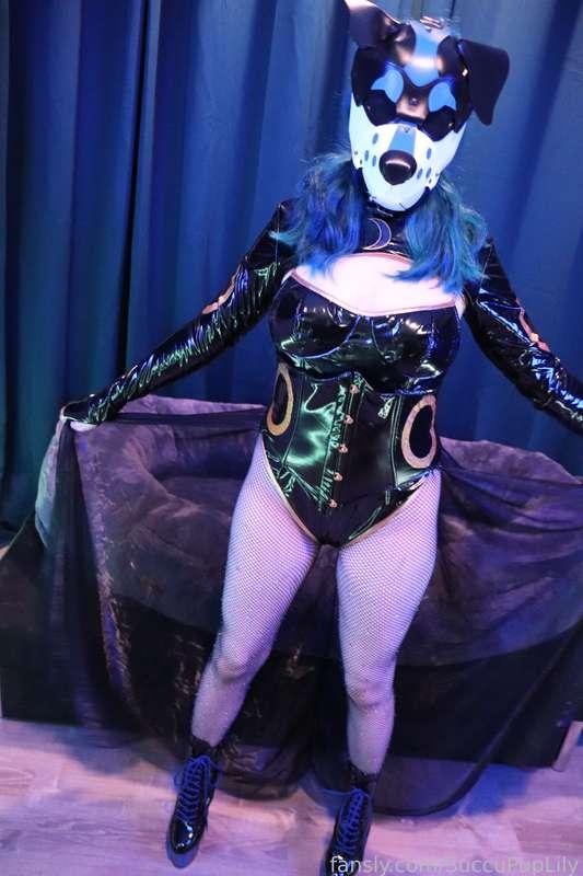 succupuplily image #18