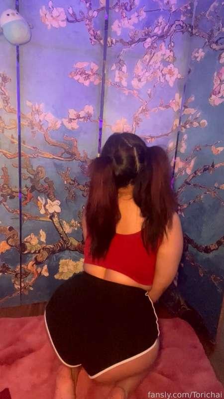 torichai image #1