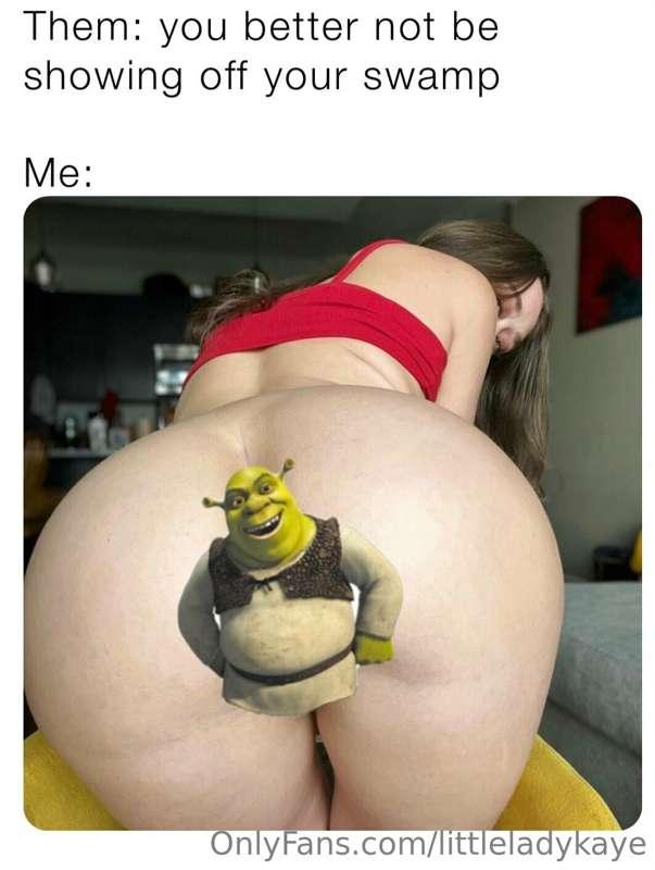 d o n k e y