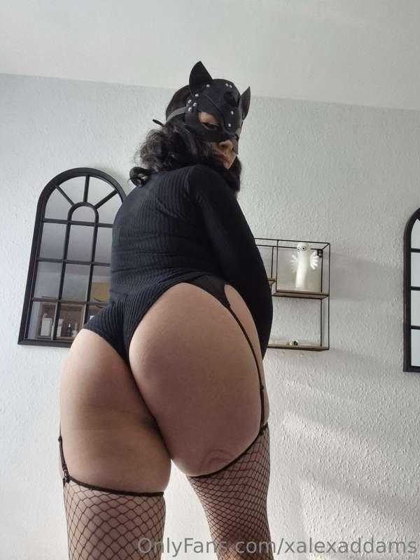 could you handle this ass? 😽