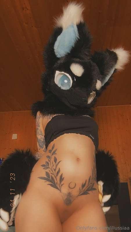Furry pussy 🤍 I hope everyone had a fun Halloween and a grea..