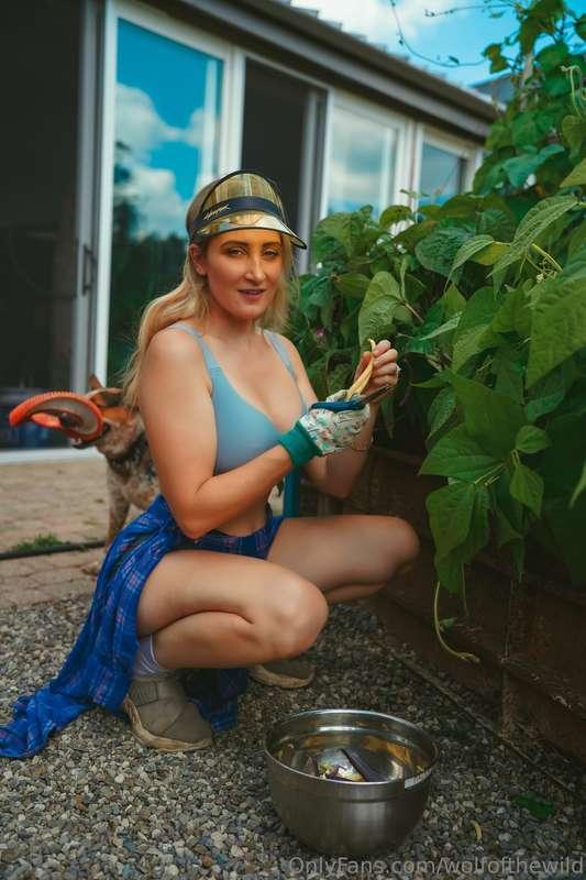 wolfofthewild image #8