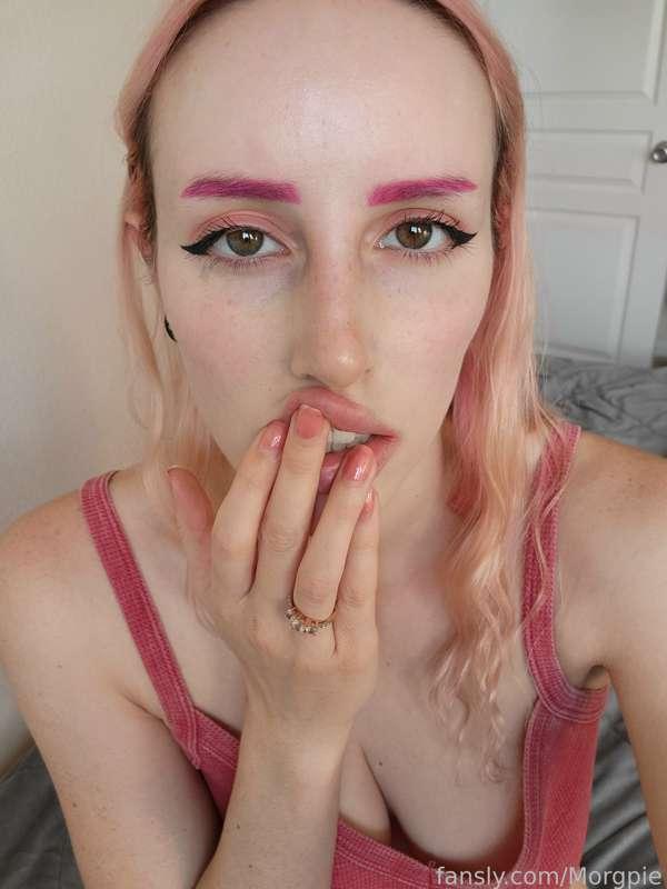 morgpie image #3