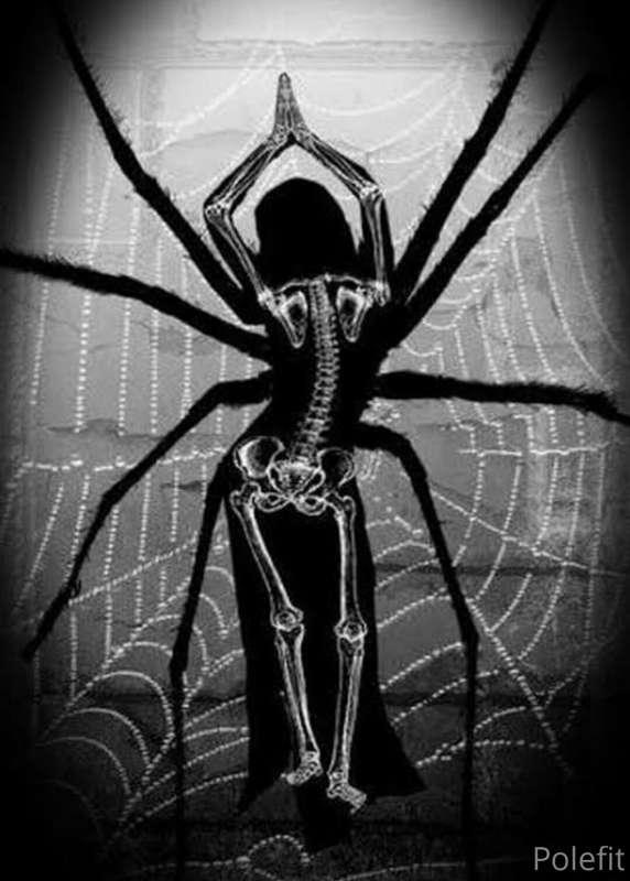 **_I'm not here to fuck spiders_** 🕷 
**If you haven't tippe..