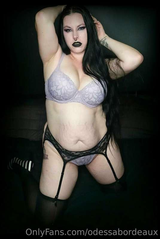 odessabordeaux image #1