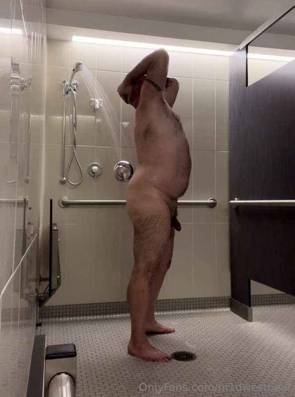 m1dwestbear image #5