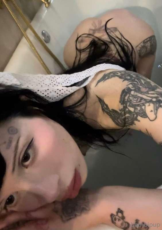 bambipup image #1