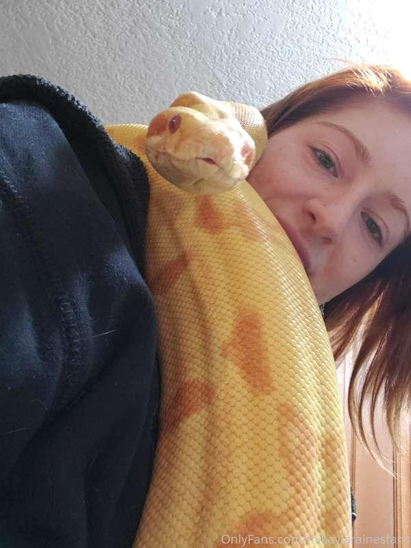 Firefox 🐍