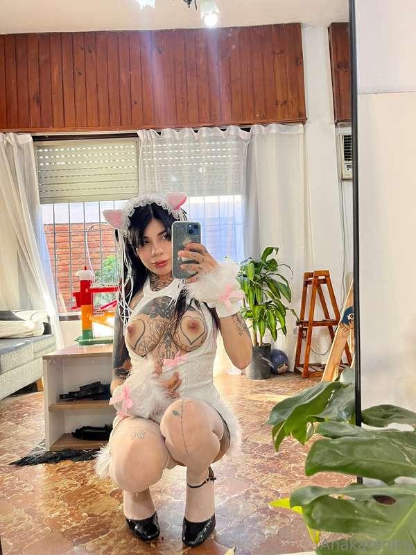 🐱🐱