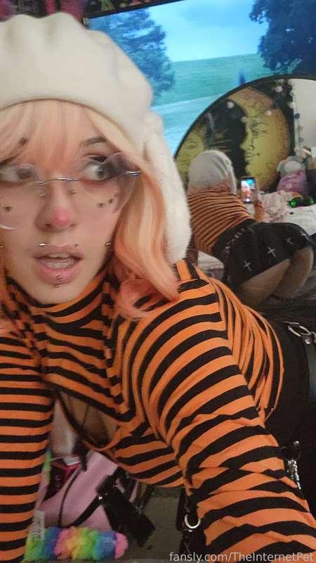 theinternetpet image #14