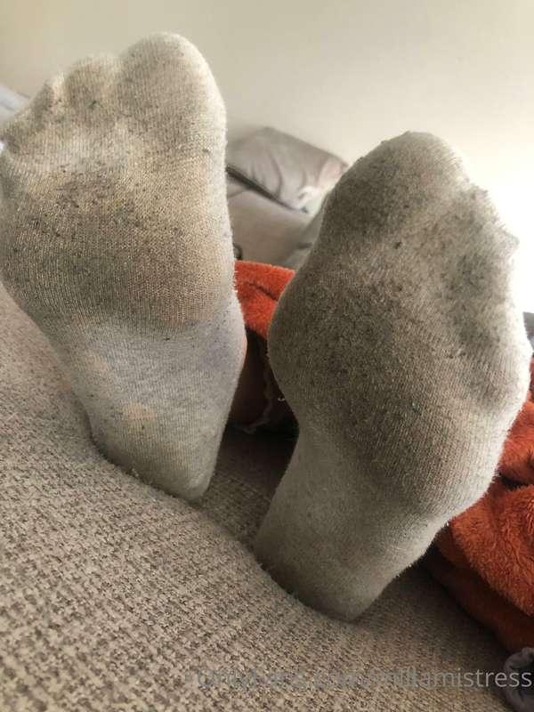 Je veux un chien pour nettoyer mes chaussettes avec sa langu..