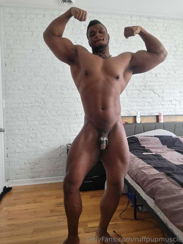 Showing off every inch, with all of the pride of being a gro..