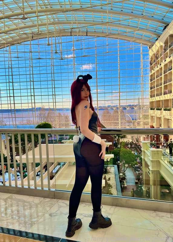 bunny girl erza 