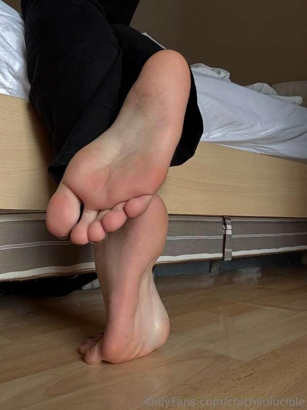 chichiluluciole image #0