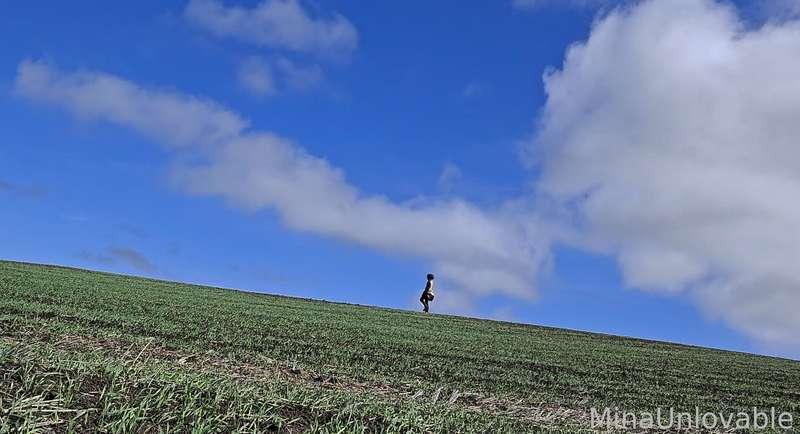 user377072094208335872 image #15