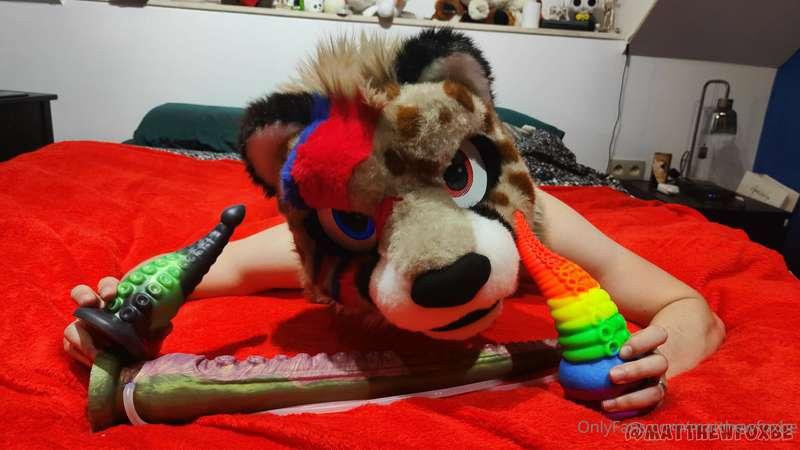 Ziggy had too much fun playing with tentacles, next video is..