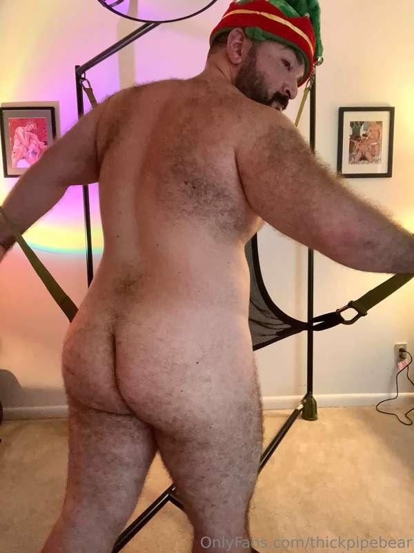 thickpipebear image #0