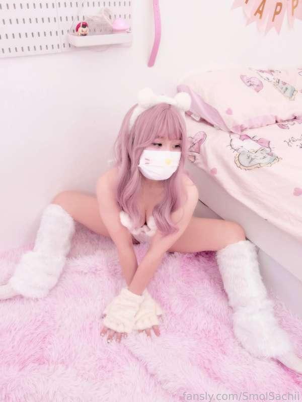 smolsachii image #1