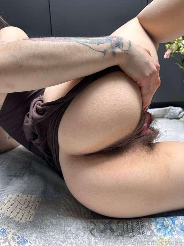 lostodg image #1