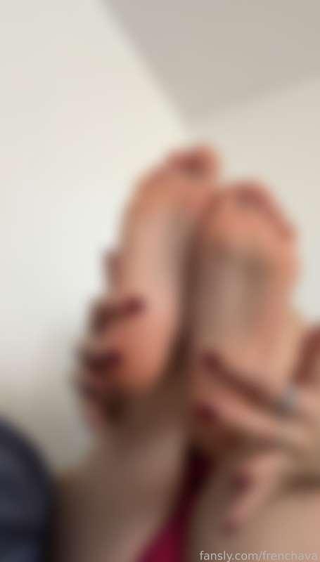 frenchava image #1