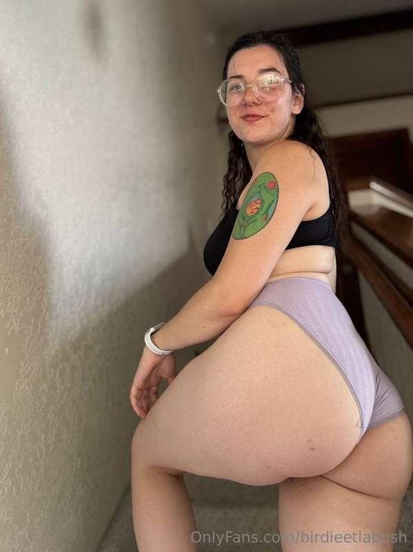 birdieetlabush image #0