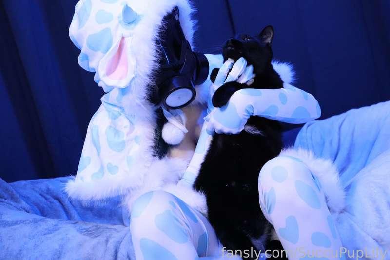 succupuplily image #10