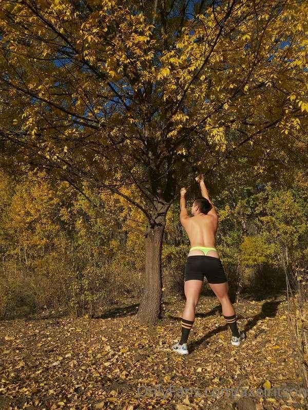 When I go for a walk alone in the woods I have fantasies of ..