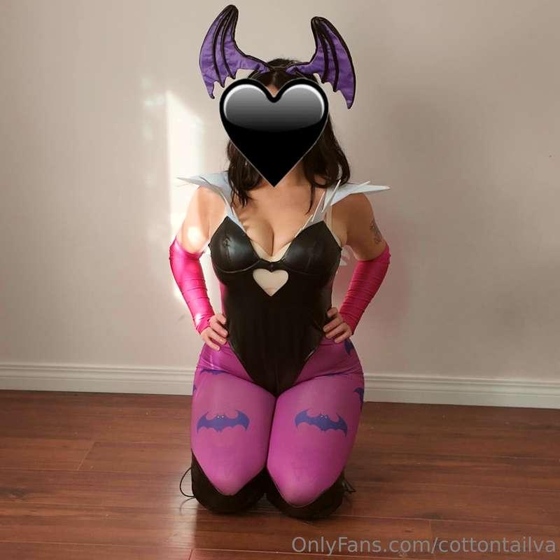 cottontailva image #8