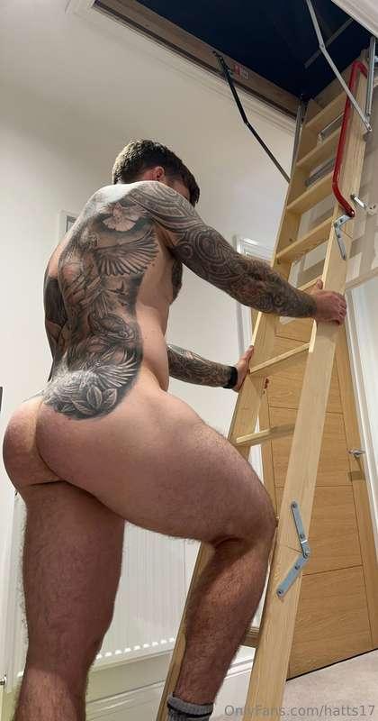 Wanna help me put down the Xmas decorations? 🤪 🎄