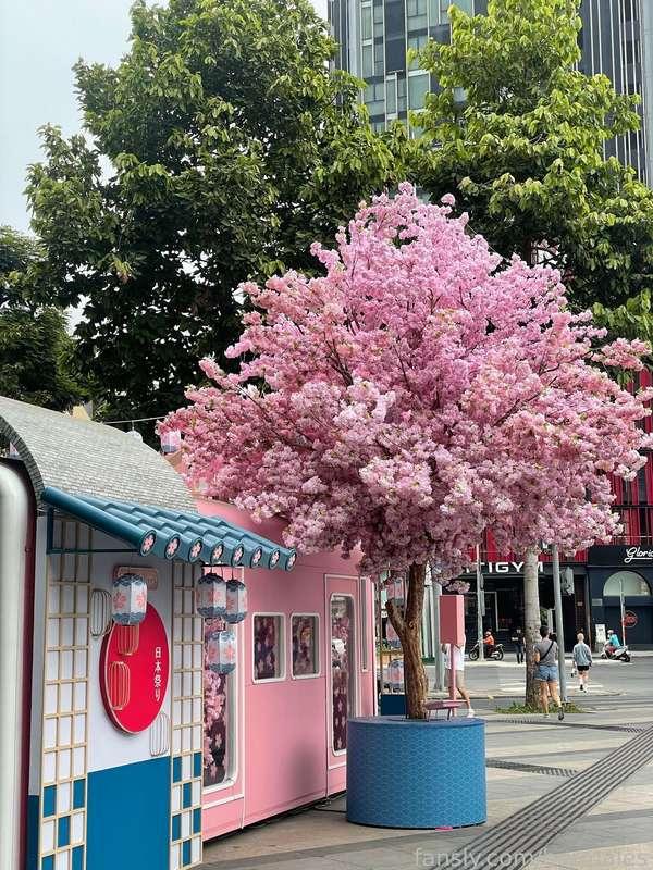 Vietnam , Ho Chi Minh city 📍

I really enjoyed Vietnam! The surprisingly contrasting city of Ho Chi Minh made a good impression on me. It's beautiful, cheap, interesting, diverse and of course lovely friendly Vietnamese people! 

#fyp #travel #vietnam #hochiminh