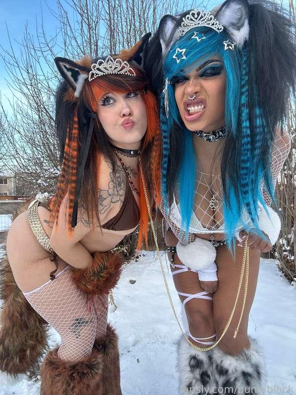bunniblack image #2